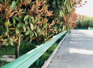 项城通达驾校风采